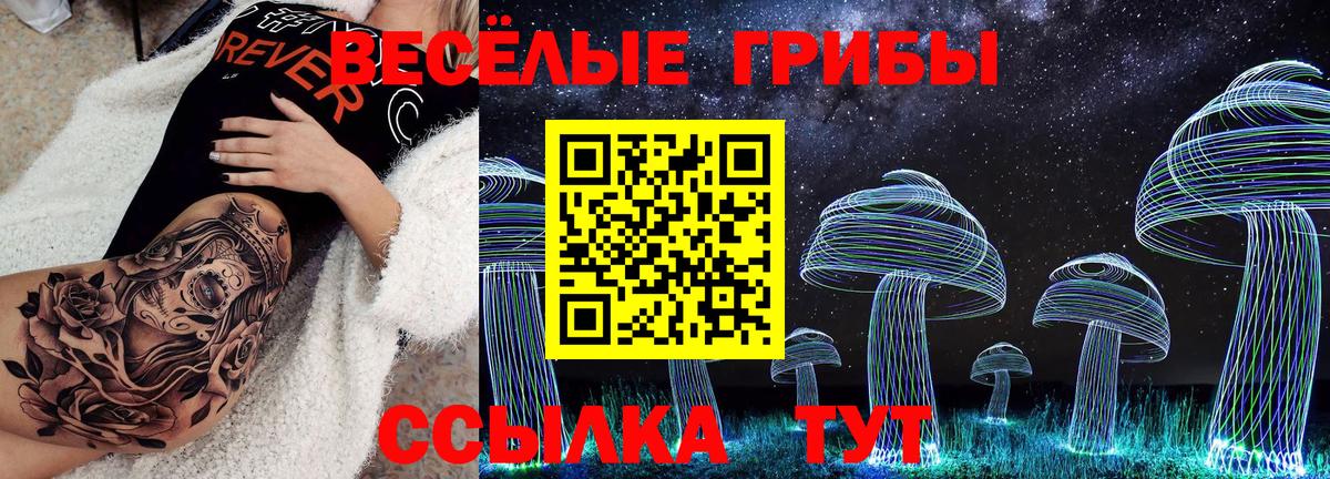 Псилоцибиновые грибы прущие грибы Кунгур