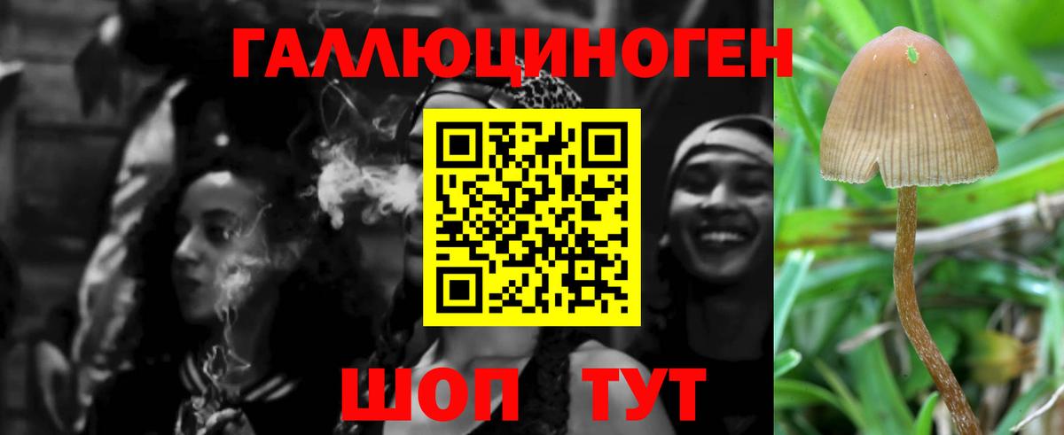 Кунгур  купить наркотики цена  Вход с VPN  Псилоцибиновые грибы GOLDEN TEACHER 